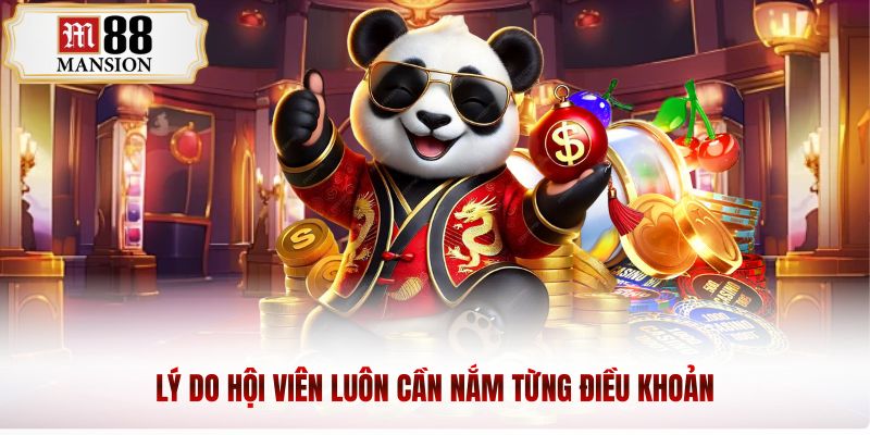 Lý do hội viên luôn cần nắm từng điều khoản