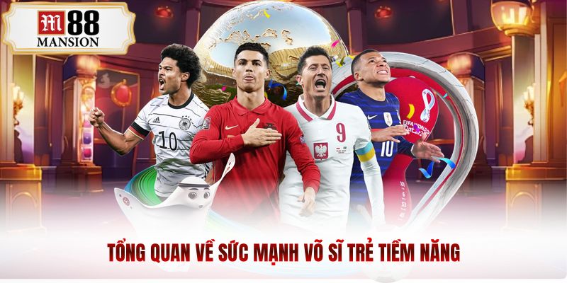 Tổng quan về sức mạnh võ sĩ trẻ tiềm năng